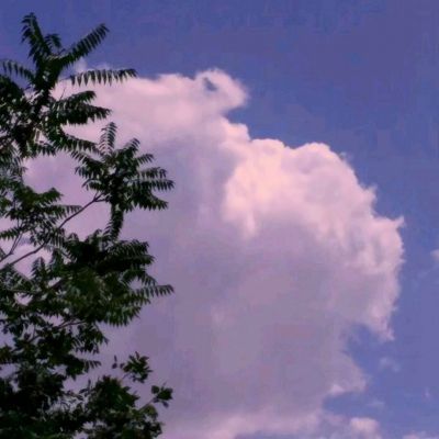 亚博·yabo下载手机版